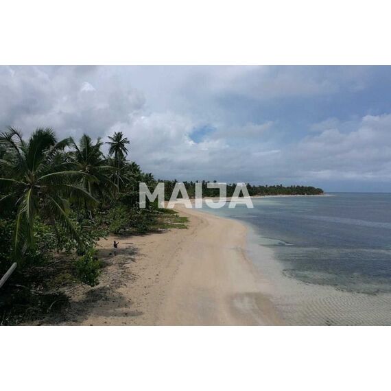 Land in Las Terrenas (Las Terrenas) Dominican Republic plot within city limits 5087m² , 17 image