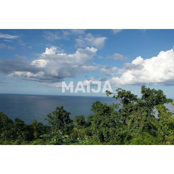 Land in Las Terrenas (Las Terrenas) Dominican Republic plot within city limits 200000m² , 6 image