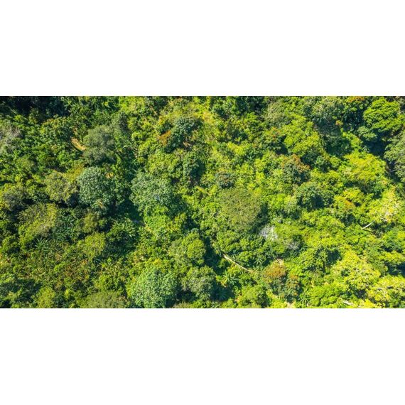 Land in San Felipe de Puerto Plata (Puerto Plata) Dominican Republic plot within city limits 70337m² , 6 image