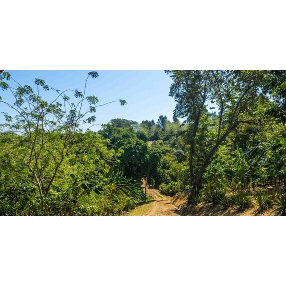 Land in San Felipe de Puerto Plata (Puerto Plata) Dominican Republic plot within city limits 70337m² , 8 image