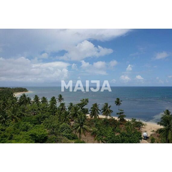 Land in Las Terrenas (Las Terrenas) Dominican Republic plot within city limits 5087m² , 4 image