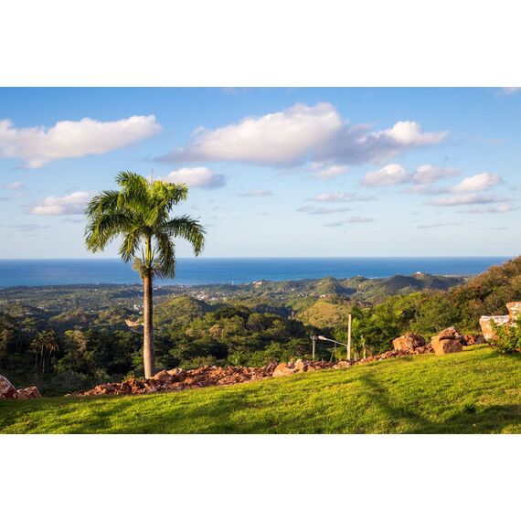 Land in Las Terrenas (Las Terrenas) Dominican Republic plot within city limits 15.3m² 