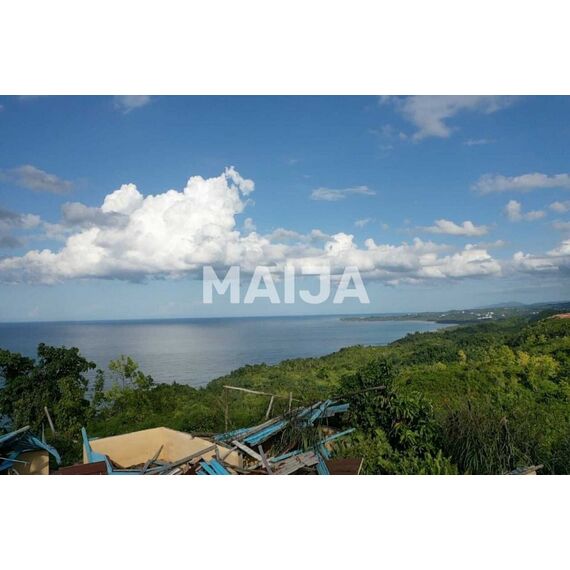 Land in Las Terrenas (Las Terrenas) Dominican Republic plot within city limits 200000m² , 9 image
