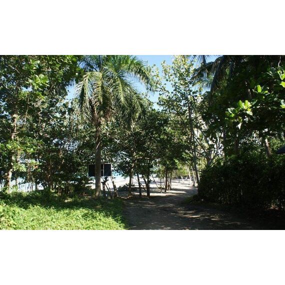 Land in Gaspar Hernandez (Gaspar Hernandez) Dominican Republic plot within city limits 4262m² , 4 image