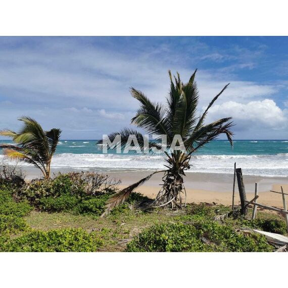 Land in Punta Cana (Punta Cana) Dominican Republic plot in the suburbs 6000m² , 4 image