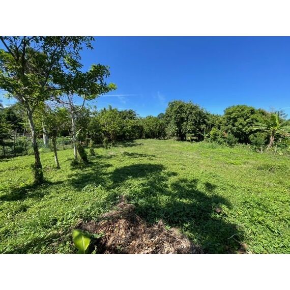 Land in Cabarete (Encuentro) Dominican Republic plot in the suburbs 914m² , 7 image