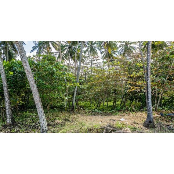 Land in Cabarete (Cabarete) Dominican Republic plot in the suburbs 1655m² 