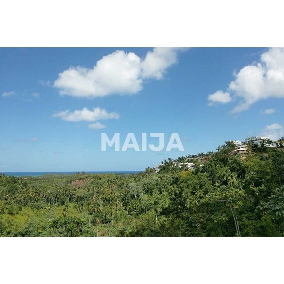 Land in Las Terrenas (Las Terrenas) Dominican Republic plot within city limits 10000m² , 18 image