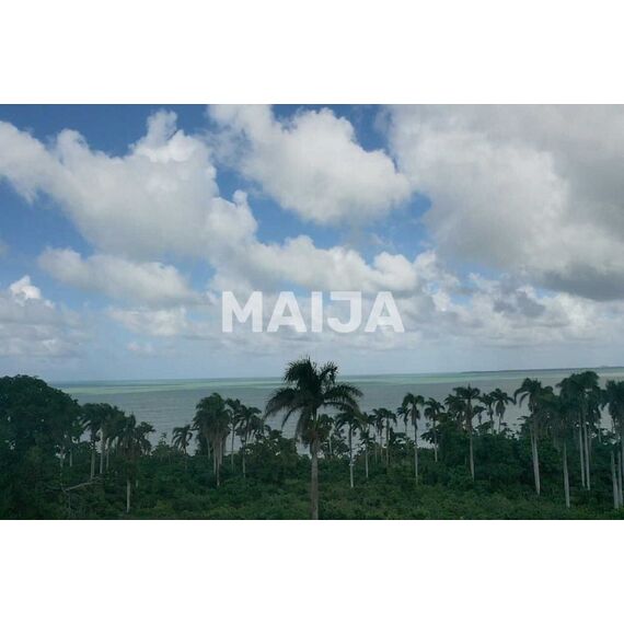 Land in Miches (Miches) Dominican Republic plot within city limits 2500m² , 4 image
