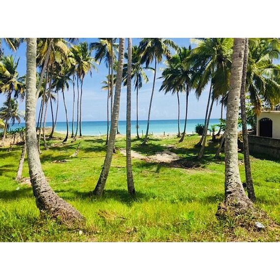 Land in Cabarete (Cabarete) Dominican Republic plot in the suburbs 9350m² , 7 image