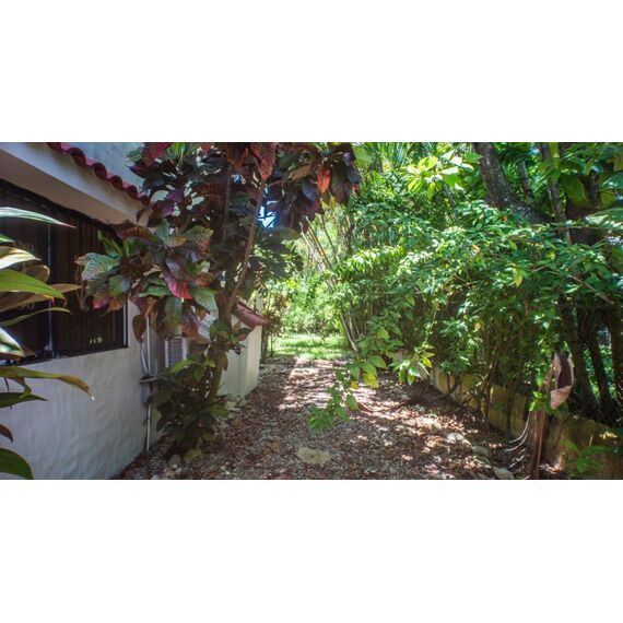 Commercial property in Cabarete (Cabarete) Dominican Republic 250m² , 14 image