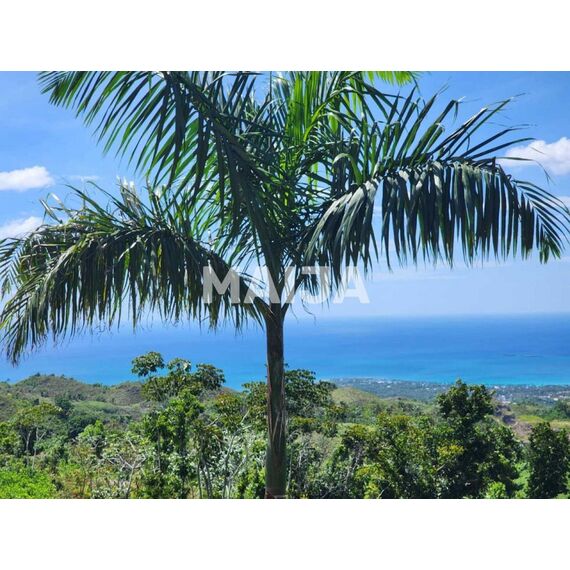 Land in Las Terrenas (Las Terrenas) Dominican Republic plot within city limits 3341.1m² 