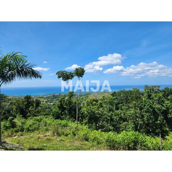 Land in Las Terrenas (Las Terrenas) Dominican Republic plot within city limits 981.21m² , 6 image
