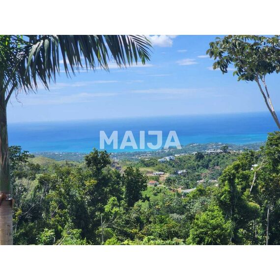 Land in Las Terrenas (Las Terrenas) Dominican Republic plot within city limits 3341.1m² , 4 image