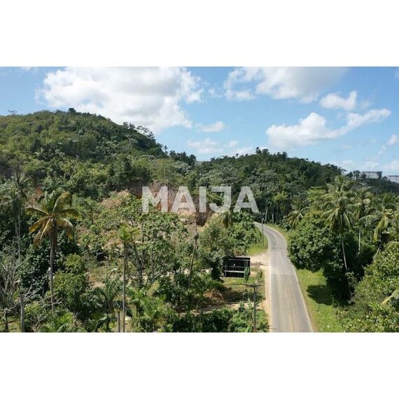 Land in Las Terrenas (Las Terrenas) Dominican Republic plot within city limits 10000m² , 13 image