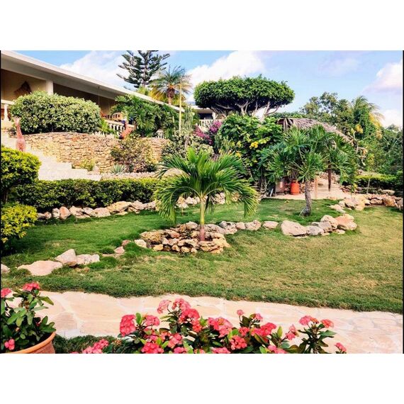 Commercial property in Luperon (Luperon) Dominican Republic 320m² , 3 image