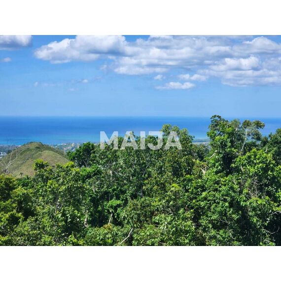 Land in Las Terrenas (Las Terrenas) Dominican Republic plot within city limits 981.21m² , 7 image