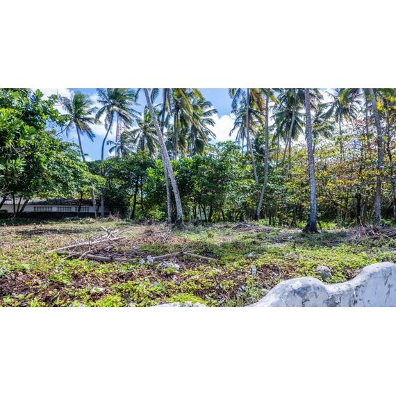 Land in Cabarete (Cabarete) Dominican Republic plot in the suburbs 1655m² , 5 image