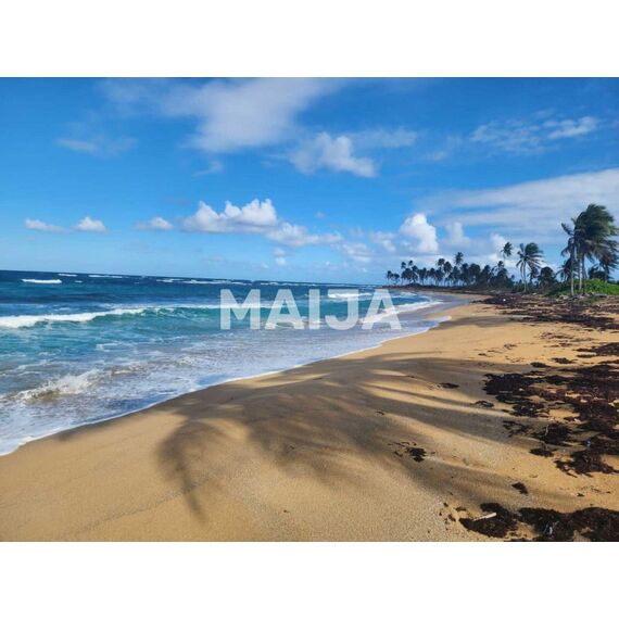 Land in Punta Cana (Punta Cana) Dominican Republic plot in the suburbs 6000m² , 6 image
