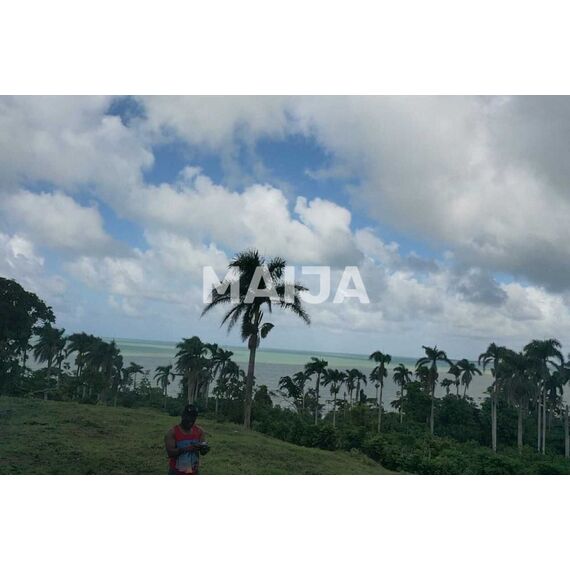 Land in Miches (Miches) Dominican Republic plot within city limits 2500m² , 5 image