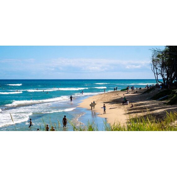 Commercial property in Cabarete (Cabarete) Dominican Republic 230m² , 3 image