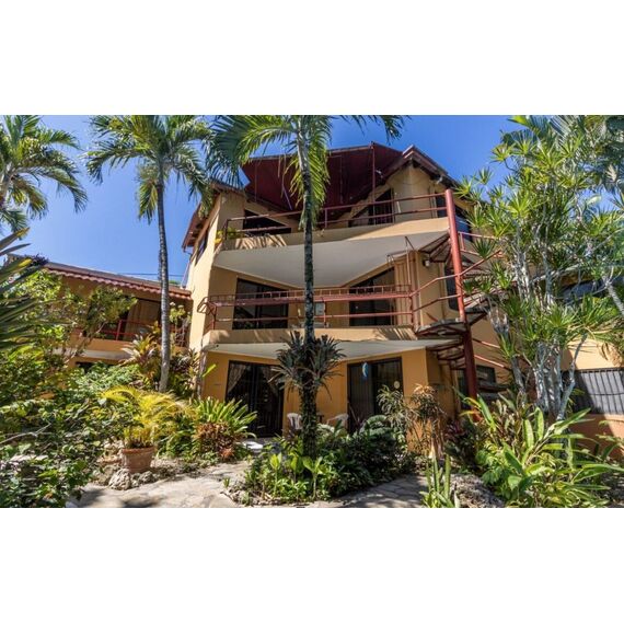 Hotel in Cabarete (Cabarete) Dominican Republic 565m² , 15 image