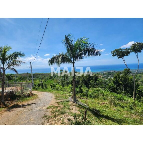 Land in Las Terrenas (Las Terrenas) Dominican Republic plot within city limits 981.21m² , 2 image
