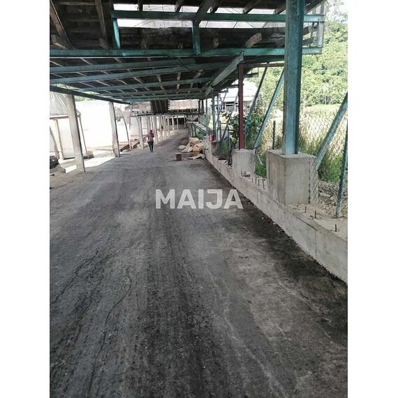 Manufacturing space in Gaspar Hernandez (Gaspar Hernandez) Dominican Republic 4340000m² , 19 image
