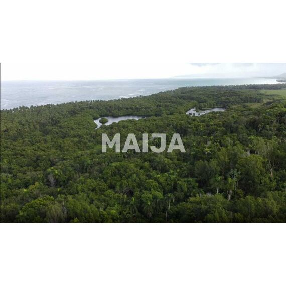 Land in Gaspar Hernandez (Gaspar Hernandez) Dominican Republic plot in the suburbs 1900000m² , 7 image