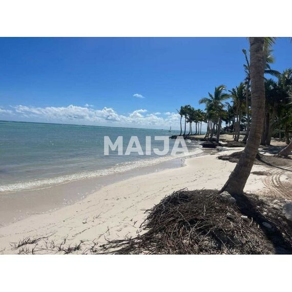 Land in Punta Cana (Cap Cana) Dominican Republic plot in city center 7155.75m² , 5 image