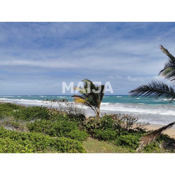 Land in Punta Cana (Punta Cana) Dominican Republic plot in the suburbs 6000m² , 2 image