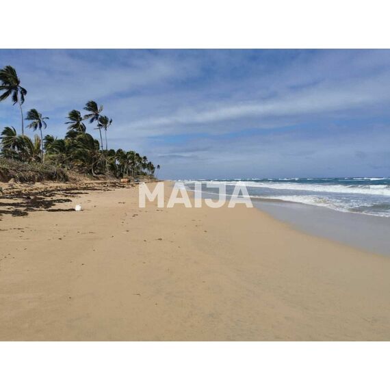 Land in Punta Cana (Punta Cana) Dominican Republic plot in the suburbs 6000m² , 7 image