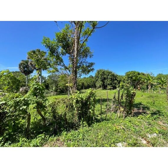 Land in Cabarete (Encuentro) Dominican Republic plot in the suburbs 914m² , 4 image