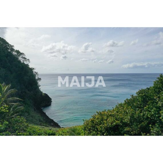 Land in Las Terrenas (Las Terrenas) Dominican Republic plot within city limits 62000m² , 10 image