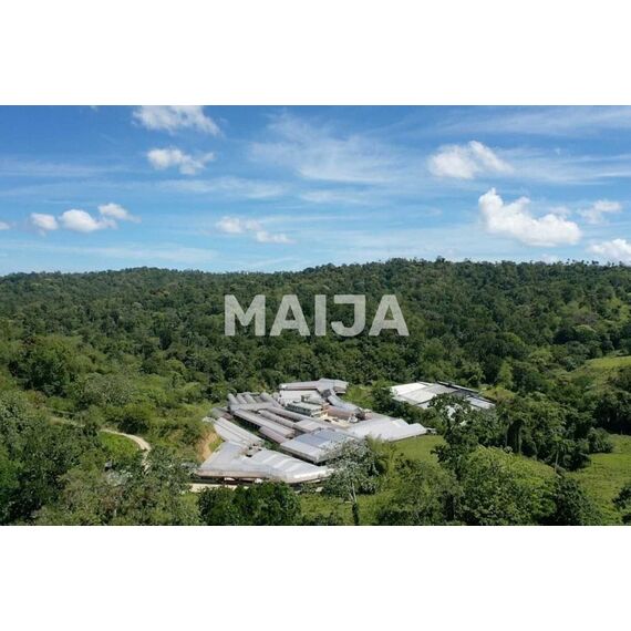 Manufacturing space in Gaspar Hernandez (Gaspar Hernandez) Dominican Republic 4340000m² , 6 image