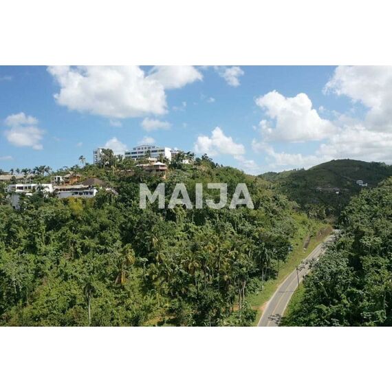 Land in Las Terrenas (Las Terrenas) Dominican Republic plot within city limits 10000m² , 14 image