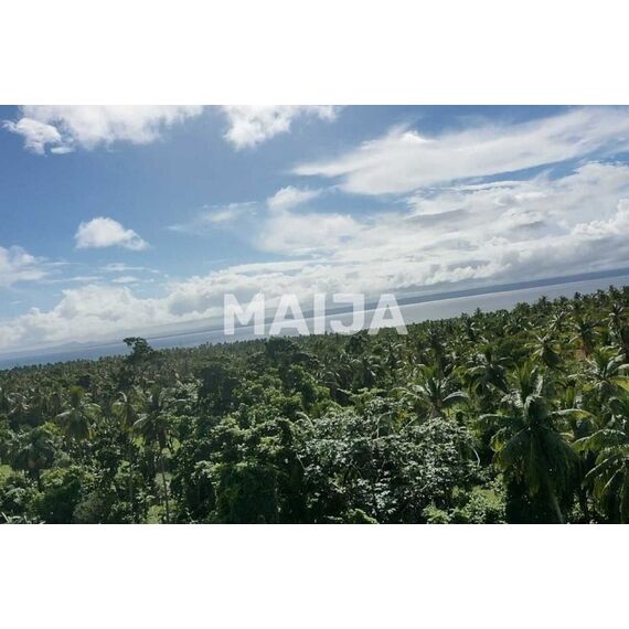 Land in Samana (Samana) Dominican Republic plot within city limits 140200m² , 9 image