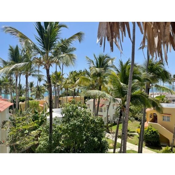 Hotel in Punta Cana (Bavaro) Dominican Republic 350m² , 12 image