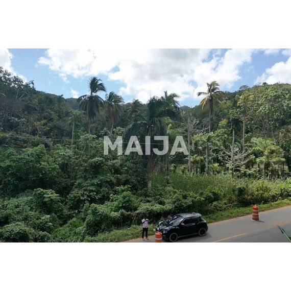 Land in Las Terrenas (Las Terrenas) Dominican Republic plot within city limits 10000m² , 9 image