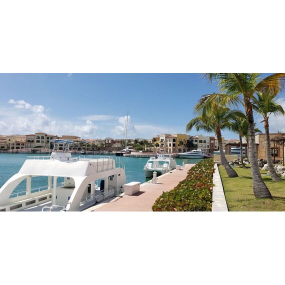Apartment 2-room 1+1 in Punta Cana (Cap Cana) Dominican Republic area 142.64m² , 12 image