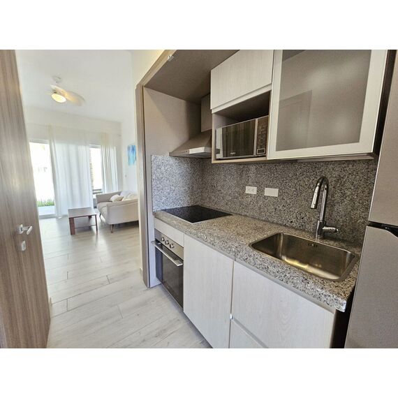 Apartment 2-room 1+1 in Punta Cana (Punta Cana) Dominican Republic area 70m² 1 floor, 5 image
