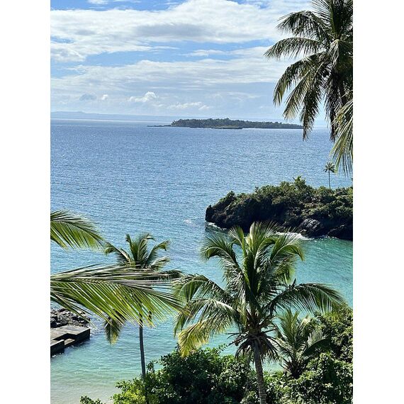 Apartment 2-room 1+1 in Samana (Samana) Dominican Republic area 80m² 1 floor, 4 image