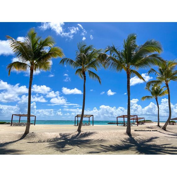 Apartment 3-room 2+1 by the sea in Punta Cana (Cap Cana) Dominican Republic area 205m² 1 floor in RC Aquamarina luxury residences, 11 image