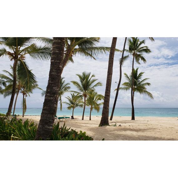 Apartment 3-room 2+1 in Punta Cana (Punta Cana) Dominican Republic area 88m² 3 floor, 12 image