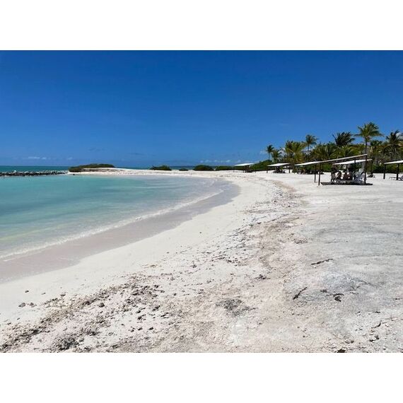 Apartment 2-room 1+1 in Punta Cana (Cap Cana) Dominican Republic area 76m² , 14 image