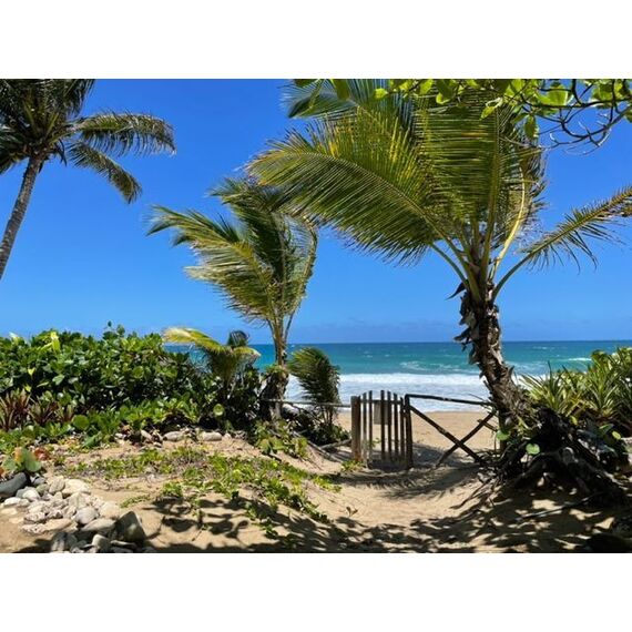 Apartment 3-room 2+1 in Cabarete (Cabarete) Dominican Republic area 146m² 3 floor, 2 image
