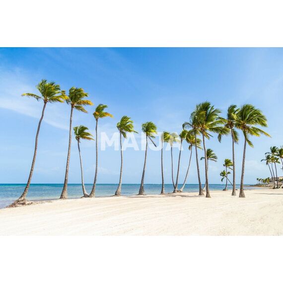 Apartment 3-room 2+1 in Punta Cana (Cap Cana) Dominican Republic area 562m² 6 floor, 15 image