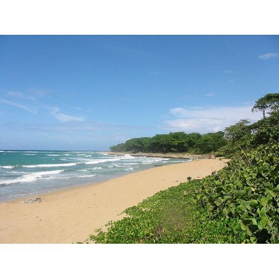 Apartment 3-room 2+1 in Cabarete (Cabarete) Dominican Republic area 58m² 3 floor, 11 image