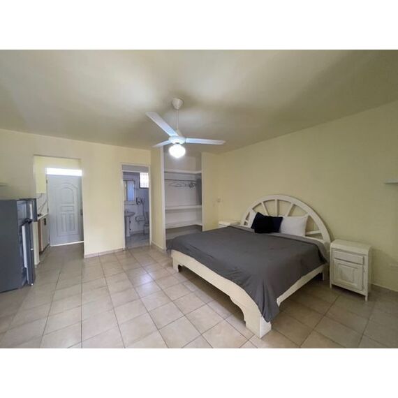 Apartment 1-room 1+0 studio in Sosua (Sosua) Dominican Republic area 48m² , 8 image